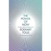 The Power of Now: A Guide to Spiritual Enlightenment