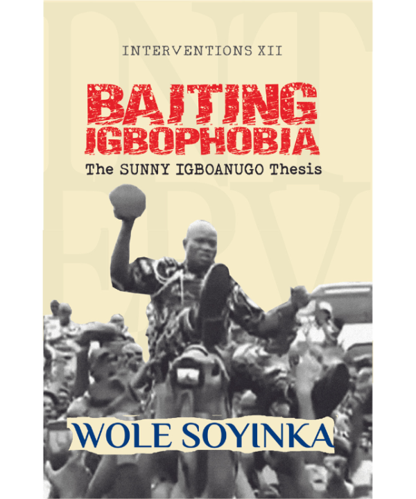 Interventions XII: Baiting Igbophobia