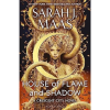 House of Flame and Shadow (Hardback)