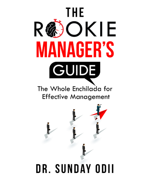 The Rookie Manager's Guide