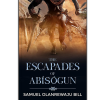 The Escapades of Abisogun