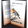 An Unfinished Life