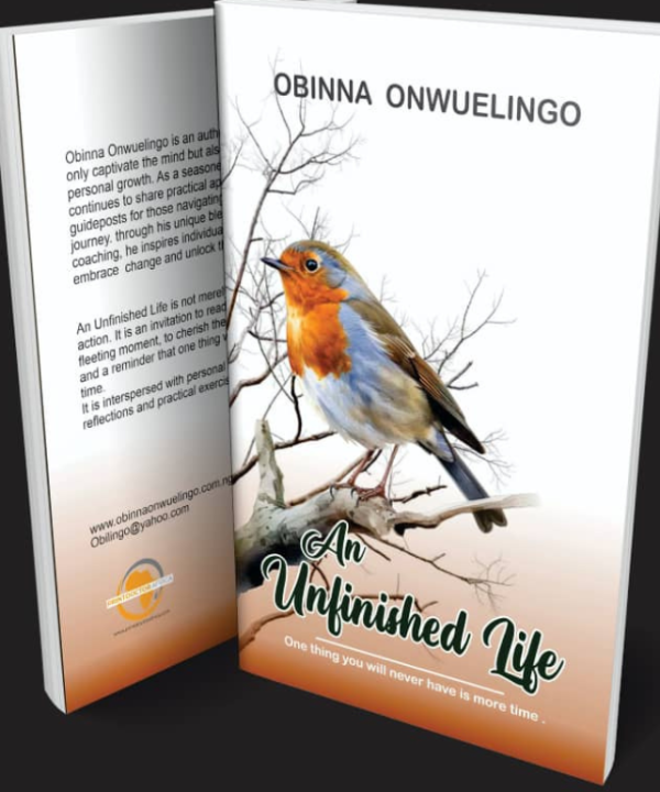An Unfinished Life