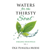 Waters For The Thirsty Soul Volume 2: Digging Your Wells