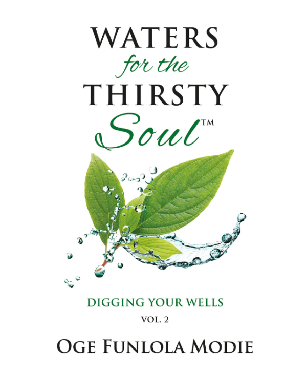 Waters For The Thirsty Soul Volume 2: Digging Your Wells