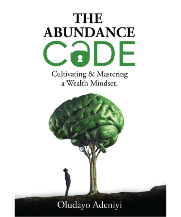 The Abundance Code: Cultivating & Mastering A Wealth Mindset
