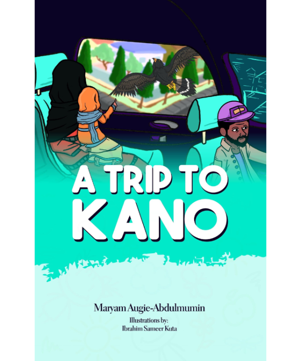 A Trip To Kano