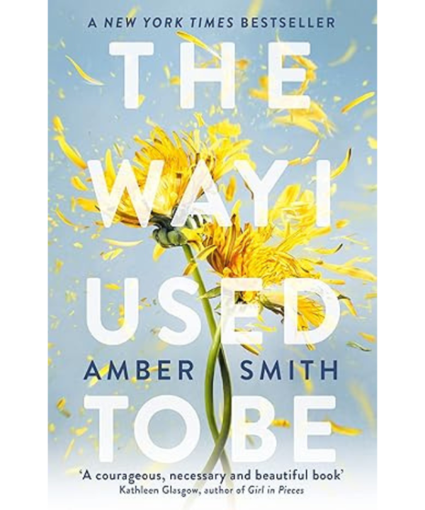 The Way I Used to Be by Amber Smith