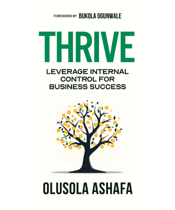 Thrive: Leverage Internal Control for Business Success