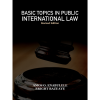 Basic Topics in Public International Law