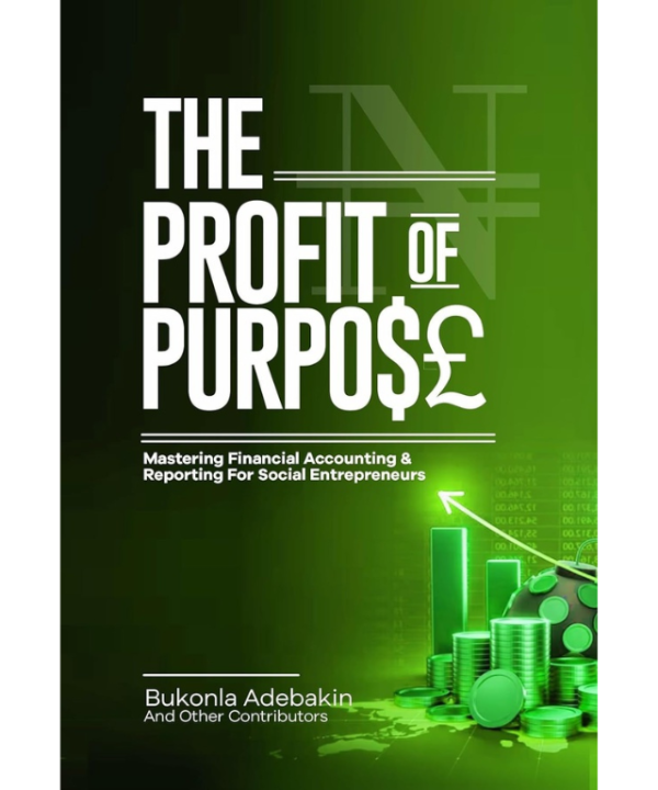 The Profit of Purpose: Mastering Financial Accounting and Reporting for Social Entrepreneurs