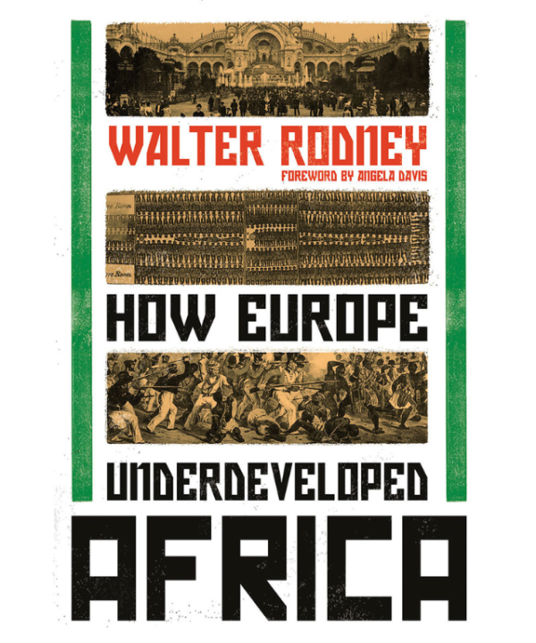 How Europe Underdeveloped Africa by Walter Rodney, Angela Y. Davis (Foreword)
