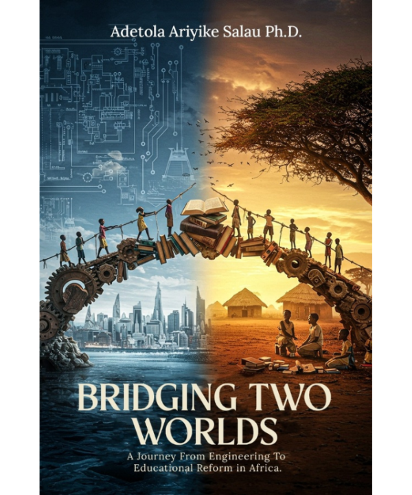 Bridging Two Worlds: A Journey From Engineering To Educational Reform in Africa