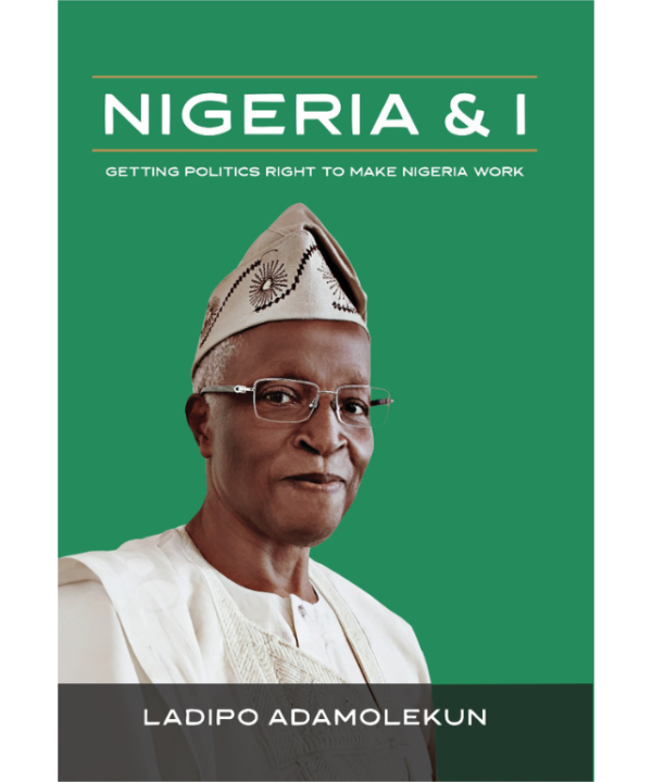 Nigeria & I: Getting Politics Right to Make Nigeria Work