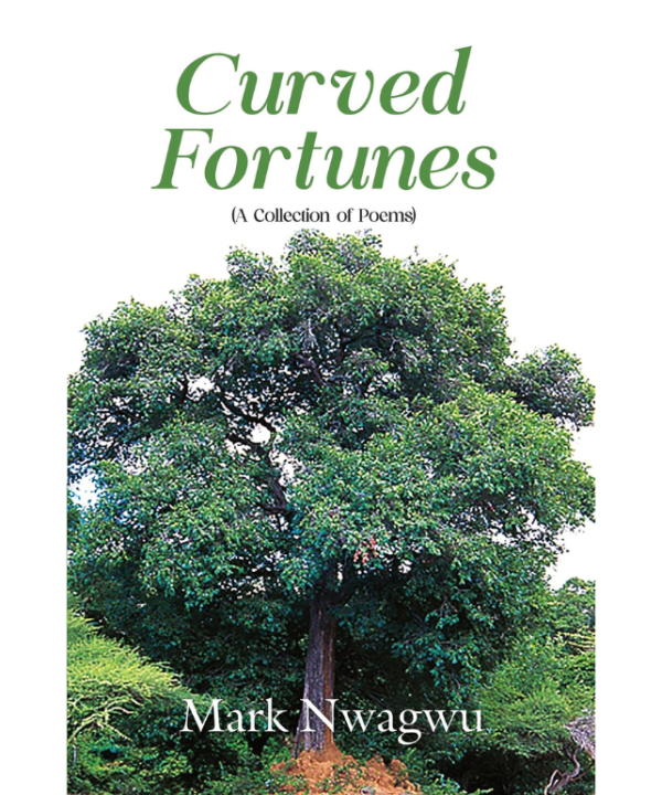 Curved Fortunes: A collection of Poems