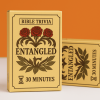 Bible Trivia Card Game by Entangled Moments