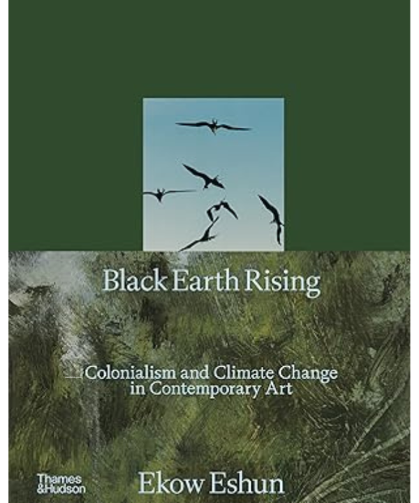 Black Earth Rising by Ekow Eshun