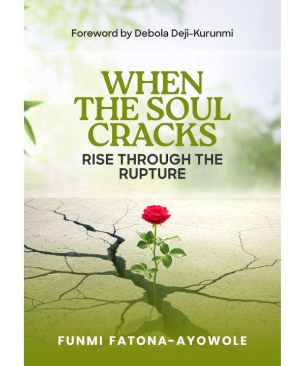 WHEN THE SOUL CRACKS: RISE THROUGH THE RUPTURE by FUNMI FATONA-AYOWOLE