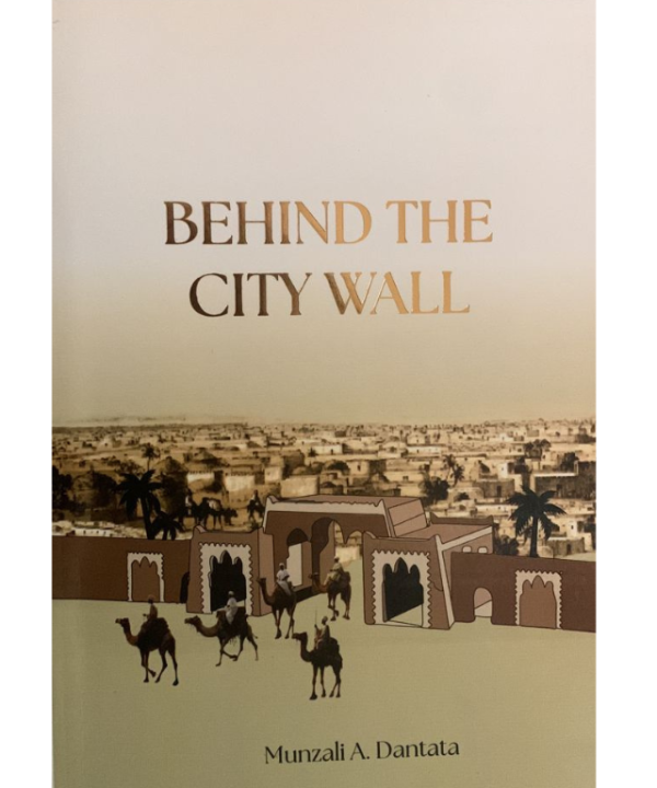 behind the city wall by Munzali Dantata