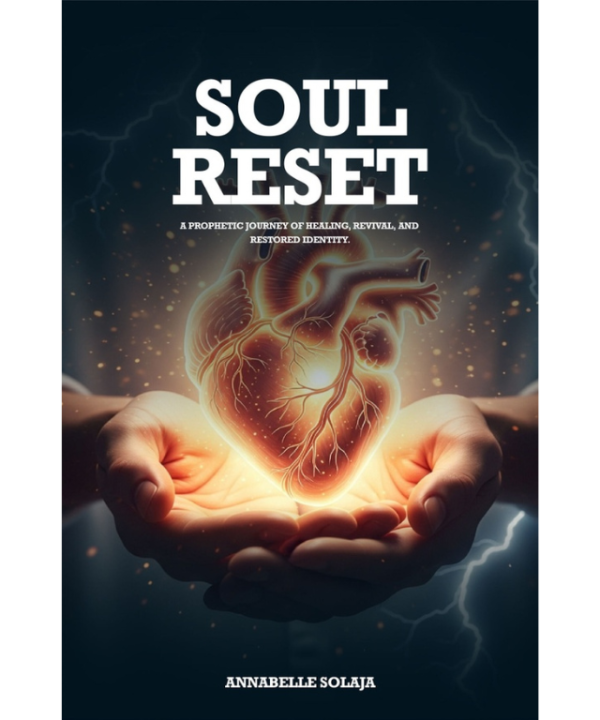 Soul reset by Annabelle Solaja